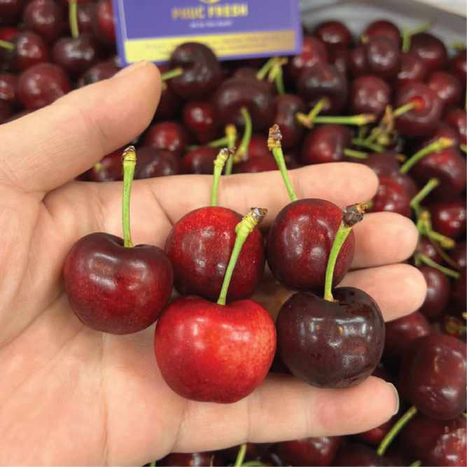 Cherry Mỹ Rivermaid size 10