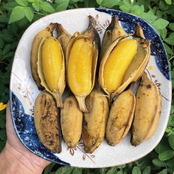 Chuối Sáp Abavina