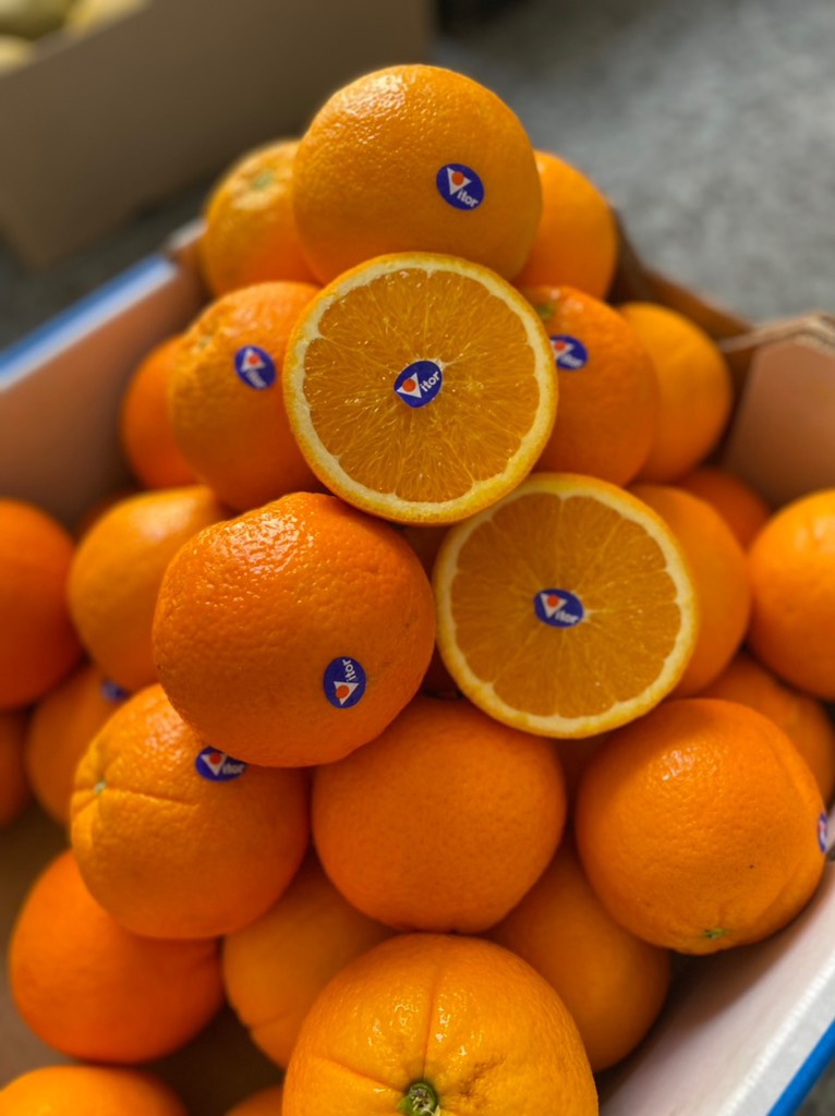 Cam Vàng Úc Victor | PHUC FRESH