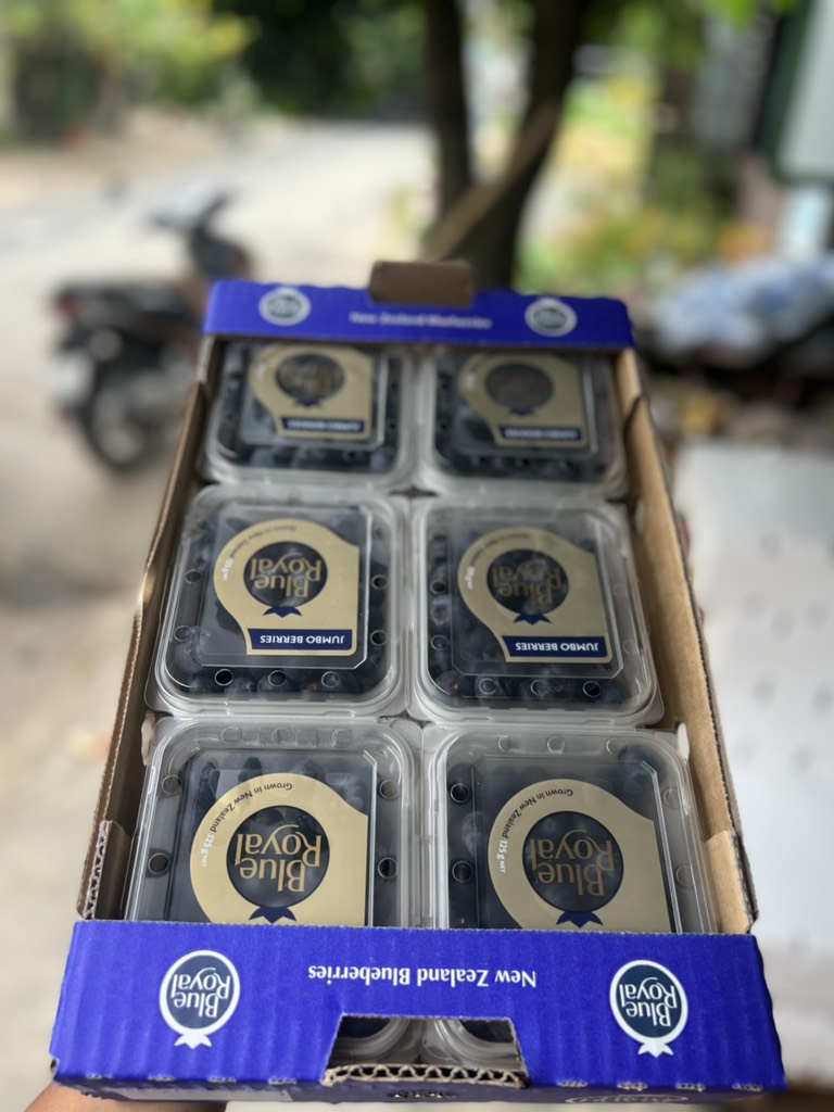 Việt quất Newz Blue Royal hộp 125gr