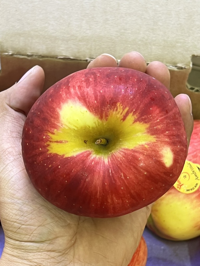 Táo Ambrosia Mỹ size 28