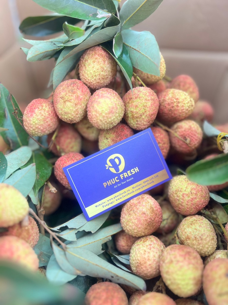 Vải U Hồng Đắk Lắk