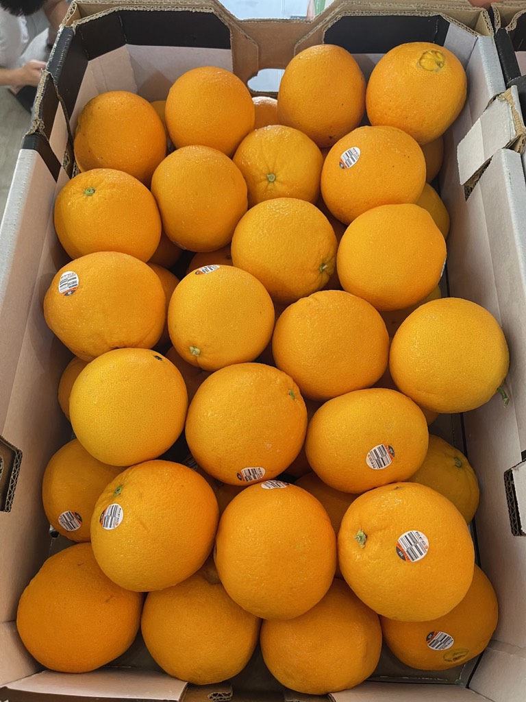 Cam Vàng Úc Victor