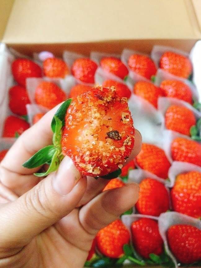 Dâu Tây giống Nhật size C (49 trái) hộp 500gr