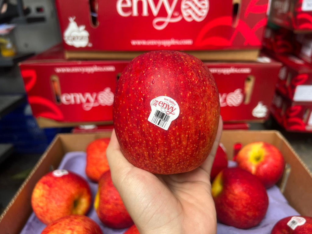 Envy Newzealand size 30 air