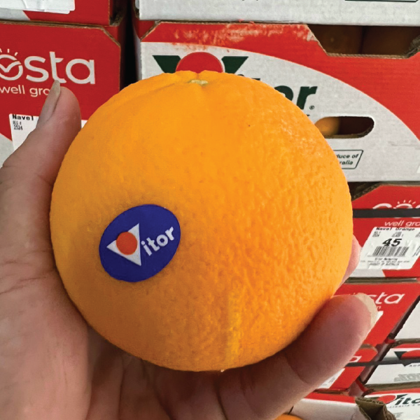 Cam Vàng Úc Victor