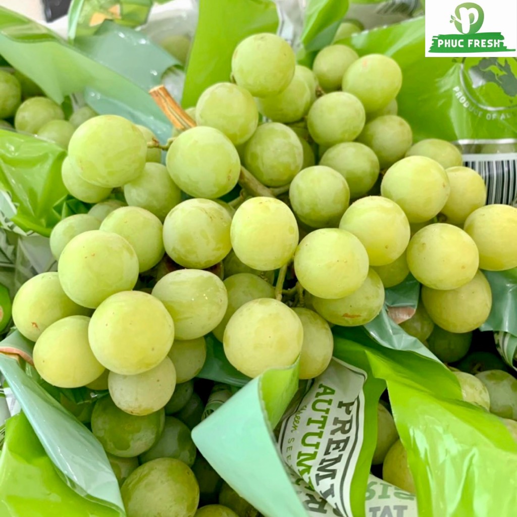 Nho Xanh Úc Autumn Crisp Úc (bay)
