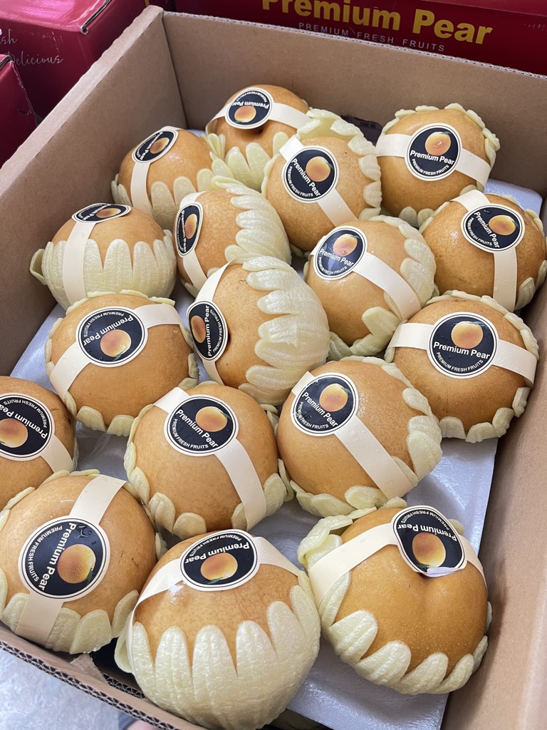 LÊ NÂU SIGON sz 34