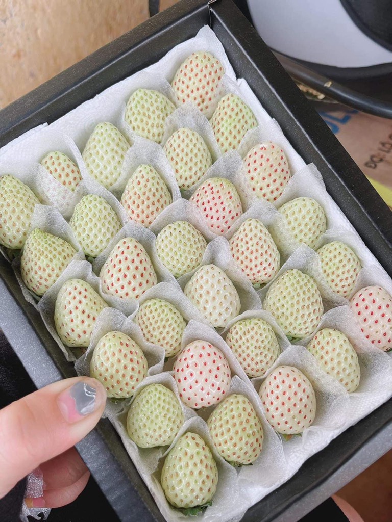 Dâu Bạch Tuyết Đà Lạt sz 30 (hộp 250gr)