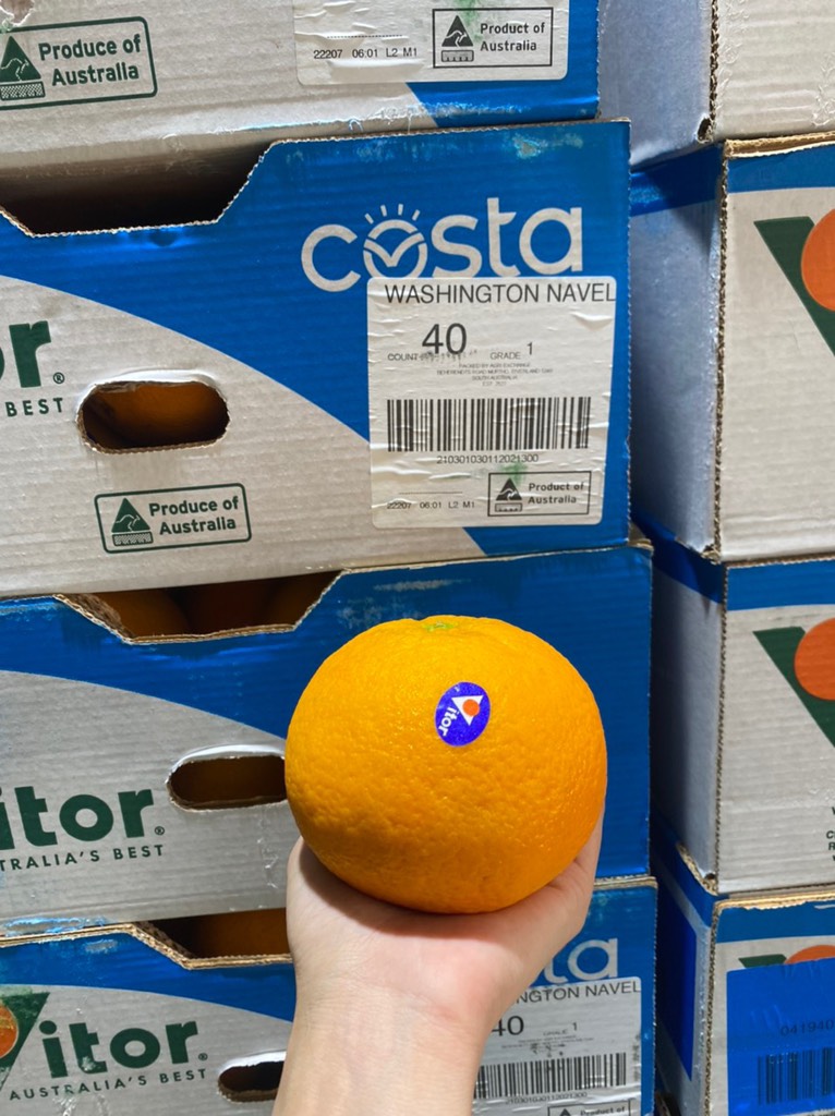Cam Vàng Úc Victor