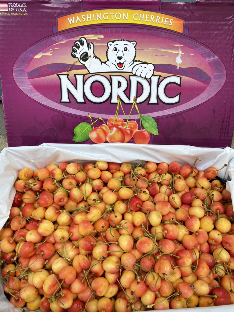 Cherry vàng Mỹ Nordic size 10