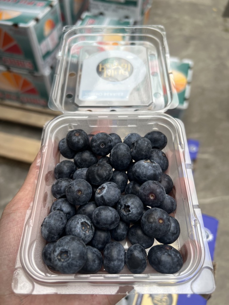 Việt quất Newz Blue Royal hộp 125gr