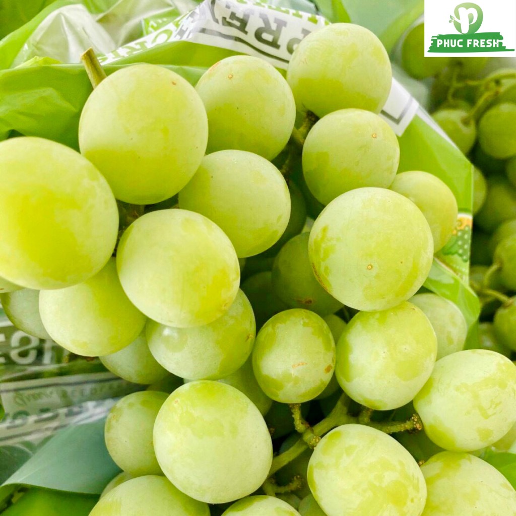 Nho Xanh Úc Autumn Crisp Úc (bay)