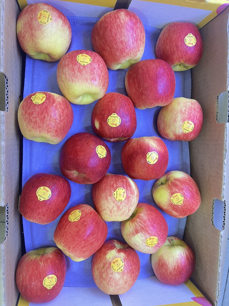 Táo Ambrosia Mỹ size 28