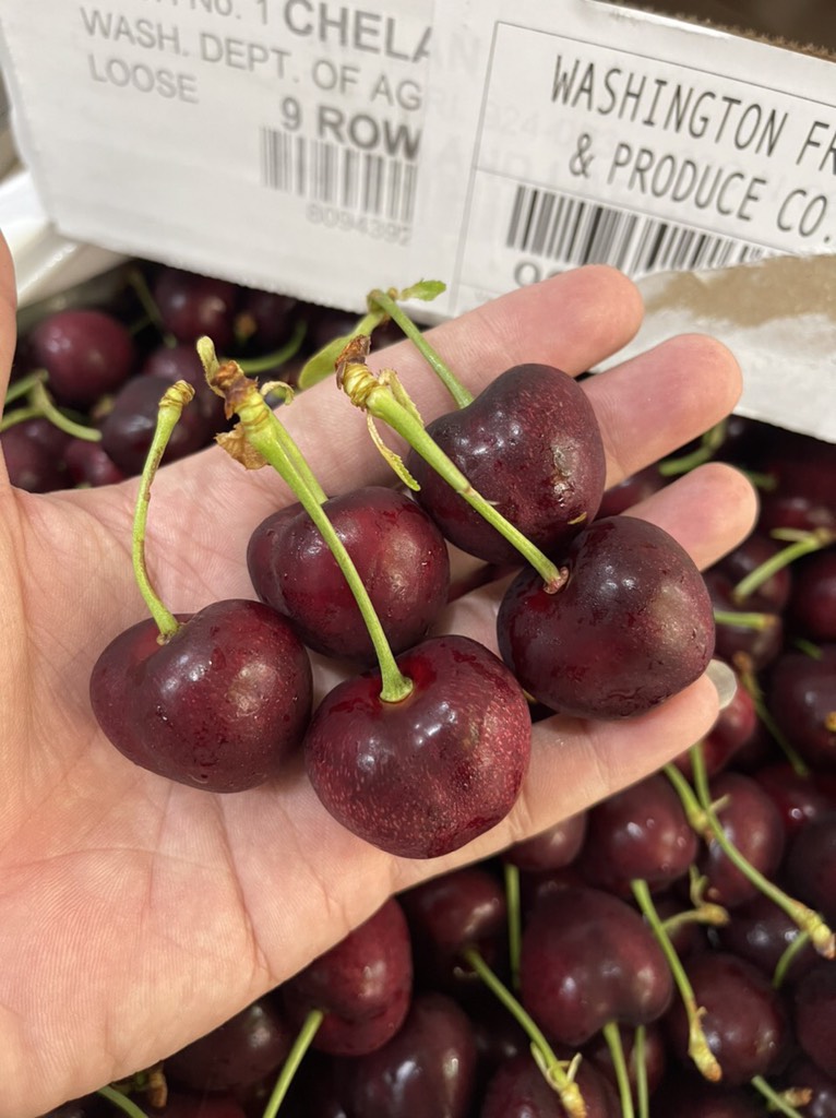 Cherry Mỹ Chuông chủng Chelan size 9