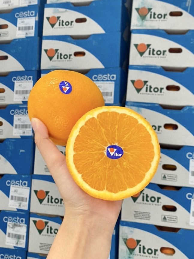 Cam Vàng Úc Victor