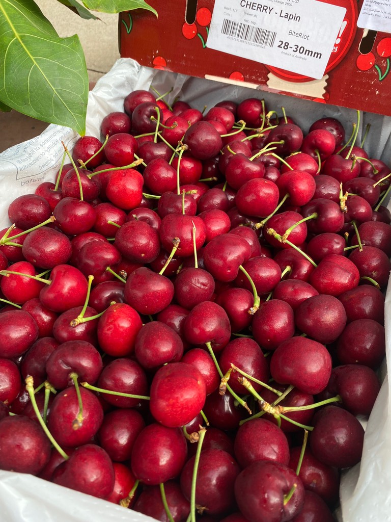 Cherry Úc BiteRiot Lapin s28-30
