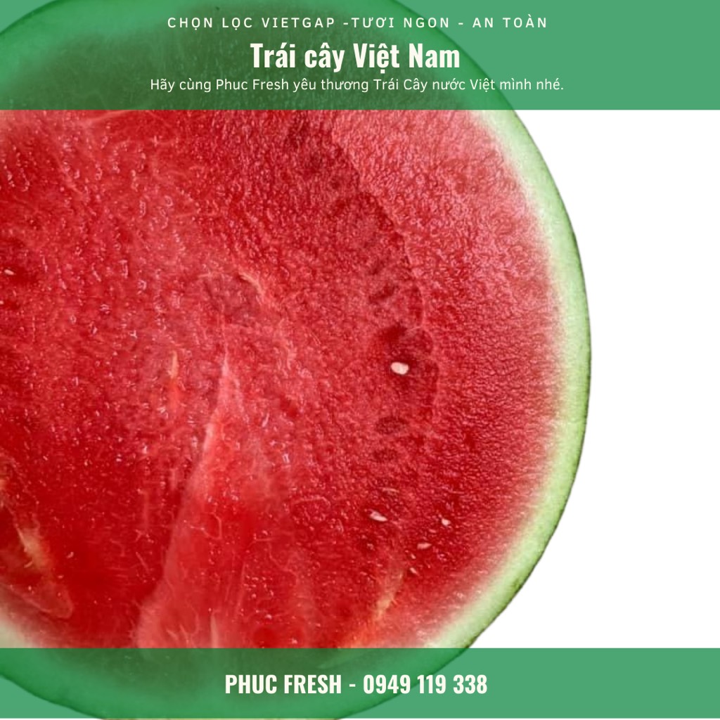 Dưa hấu không hạt Vietgap