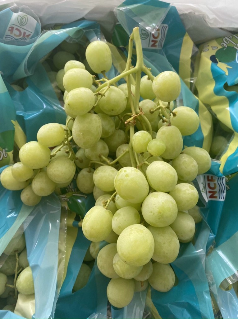 Nho xanh Úc sunvalley