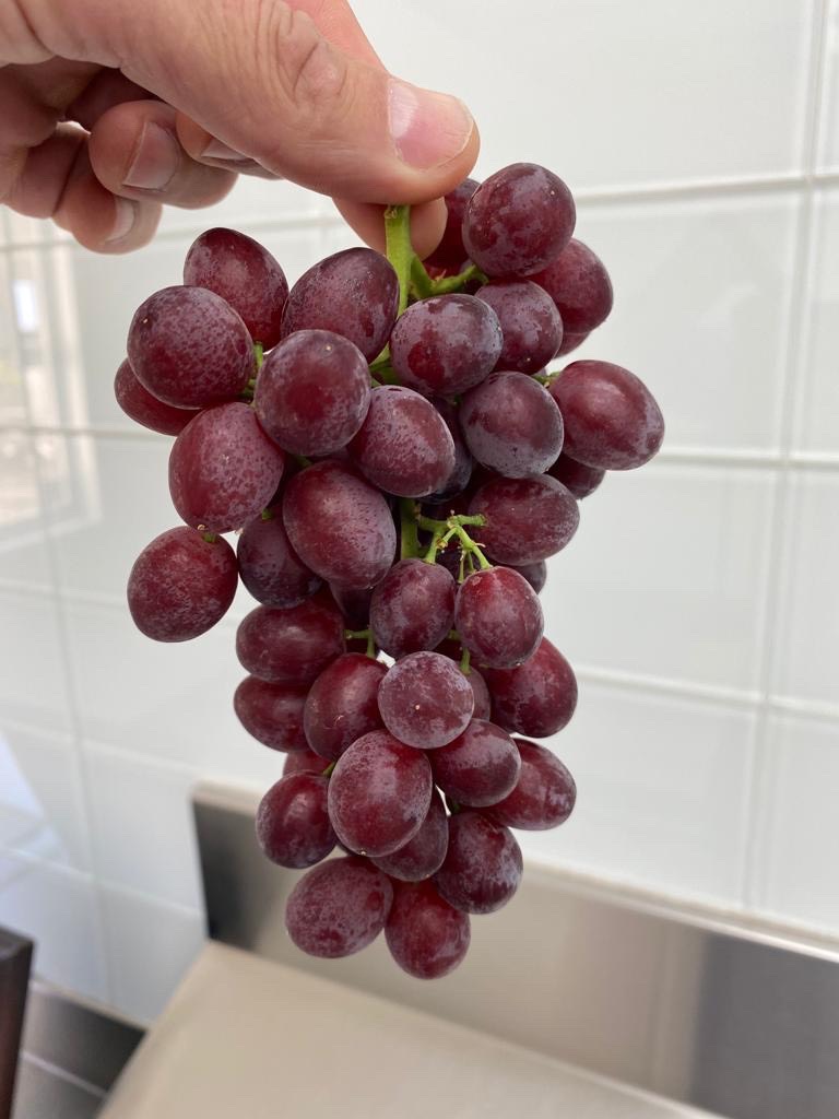 Nho kẹo Mỹ Candy Snap hộp 450g