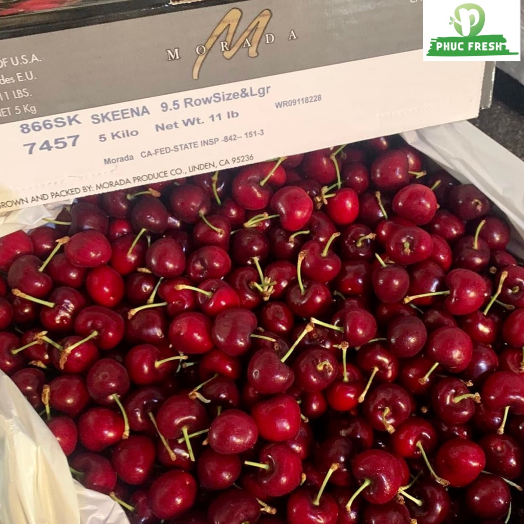 Cherry Mỹ Morada size 9 PHUC FRESH