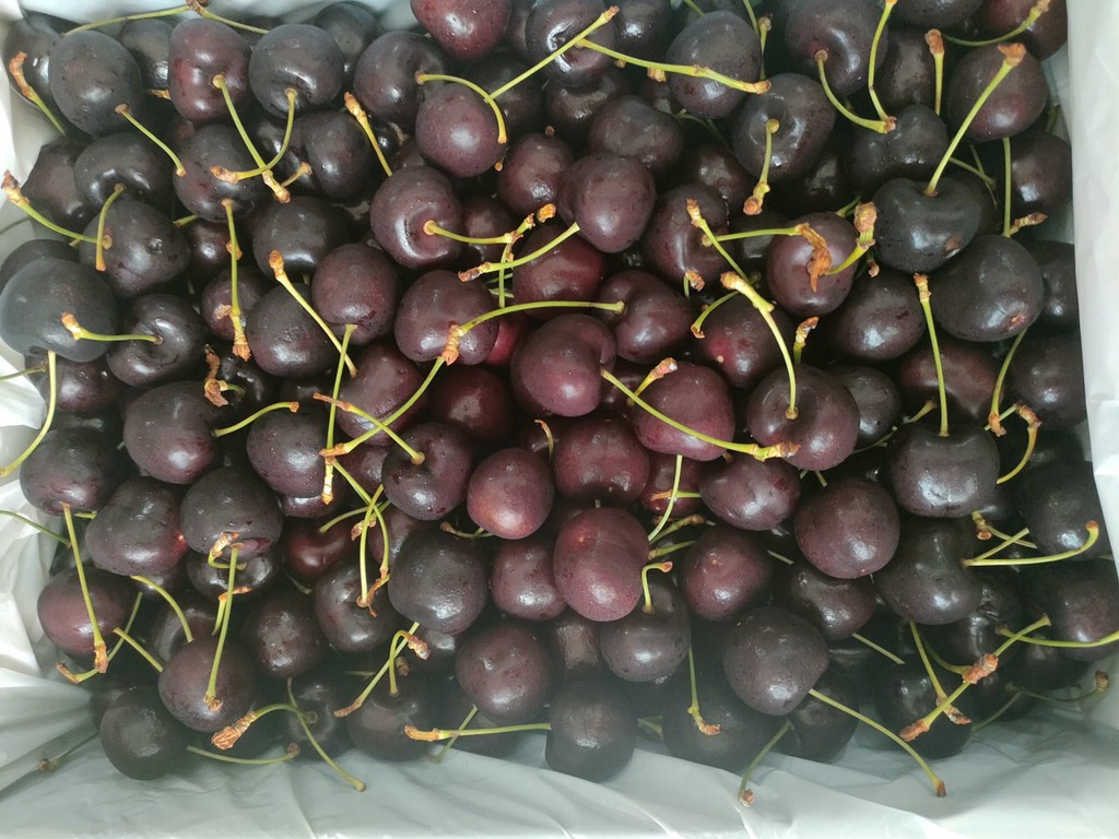 Cherry Úc Tamanian R&H size 30-32 Lapin 5kg