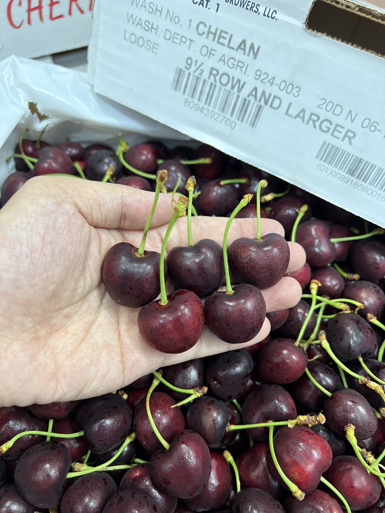 Cherry Mỹ Chuông chủng Chelan size 9