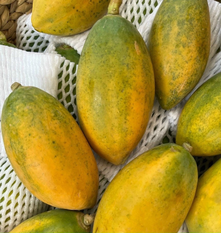 Đu đủ ruột vàng Vietgap