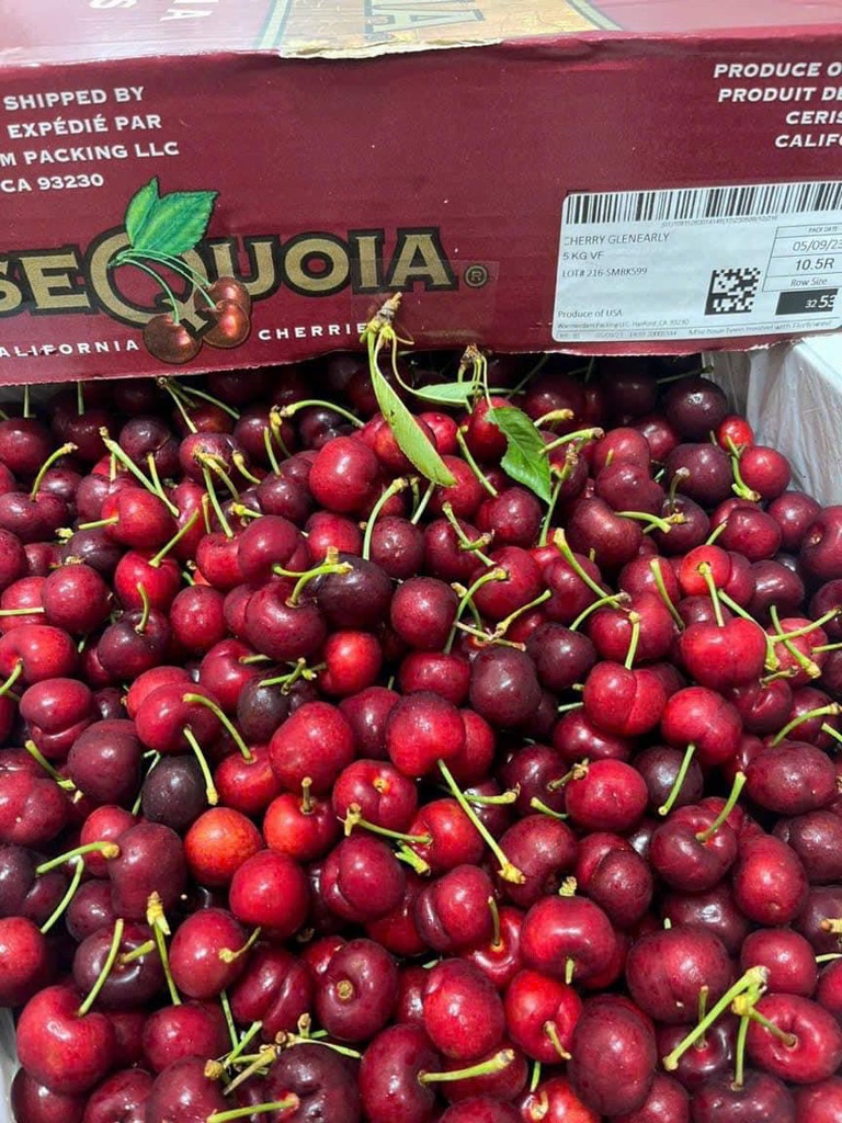 Cherry Mỹ Sequoia (cali)