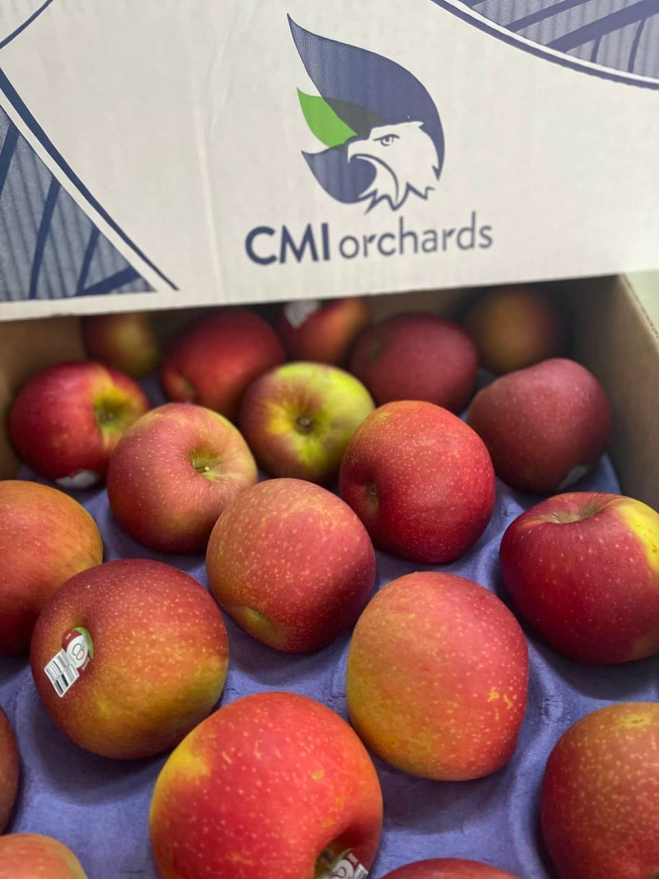 Táo Ever Crisp Mỹ size 45