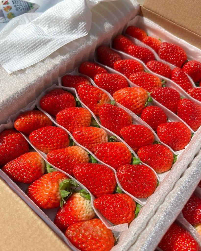 Dâu Montery thuỷ canh Đà Lạt hộp 500g