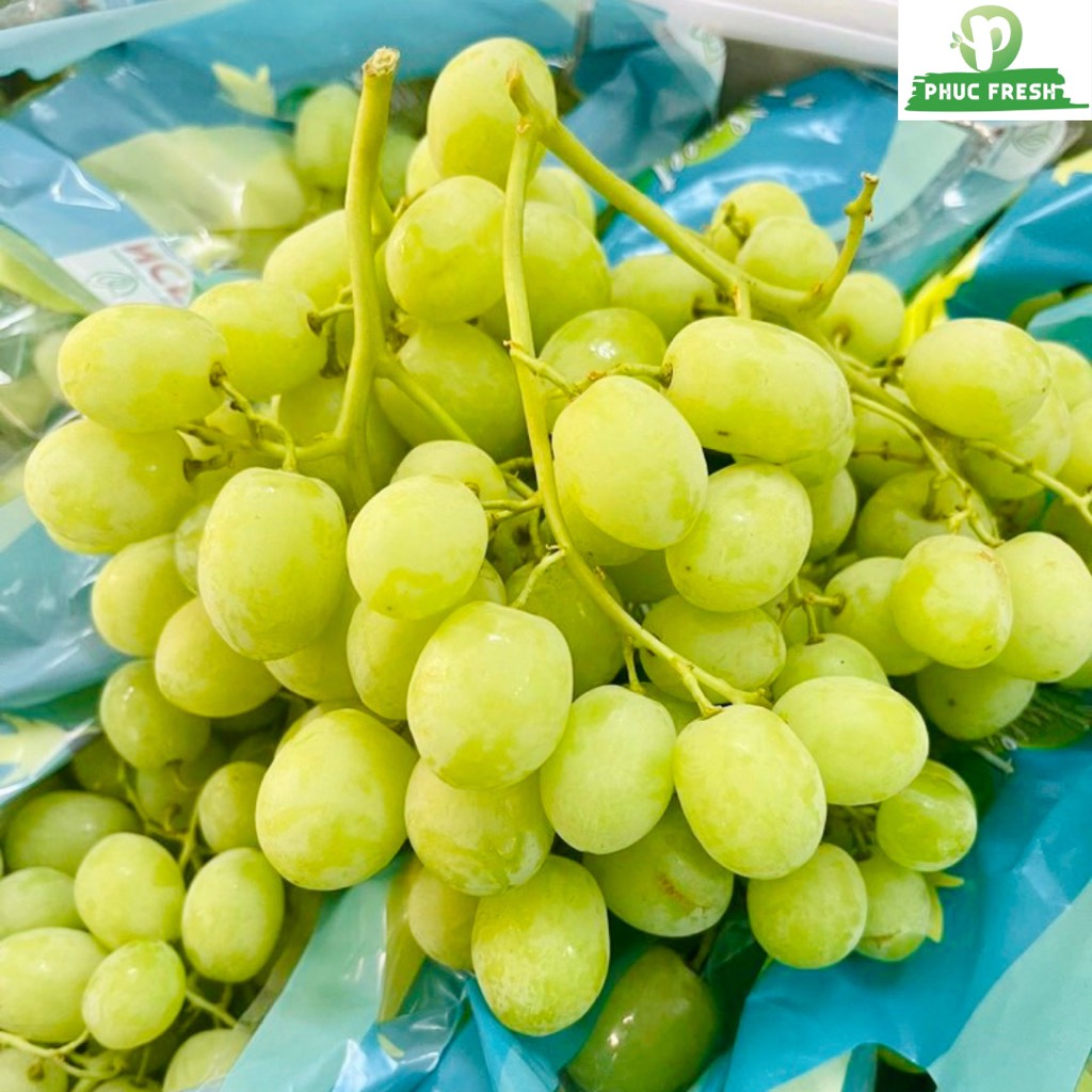 Nho xanh Úc sunvalley