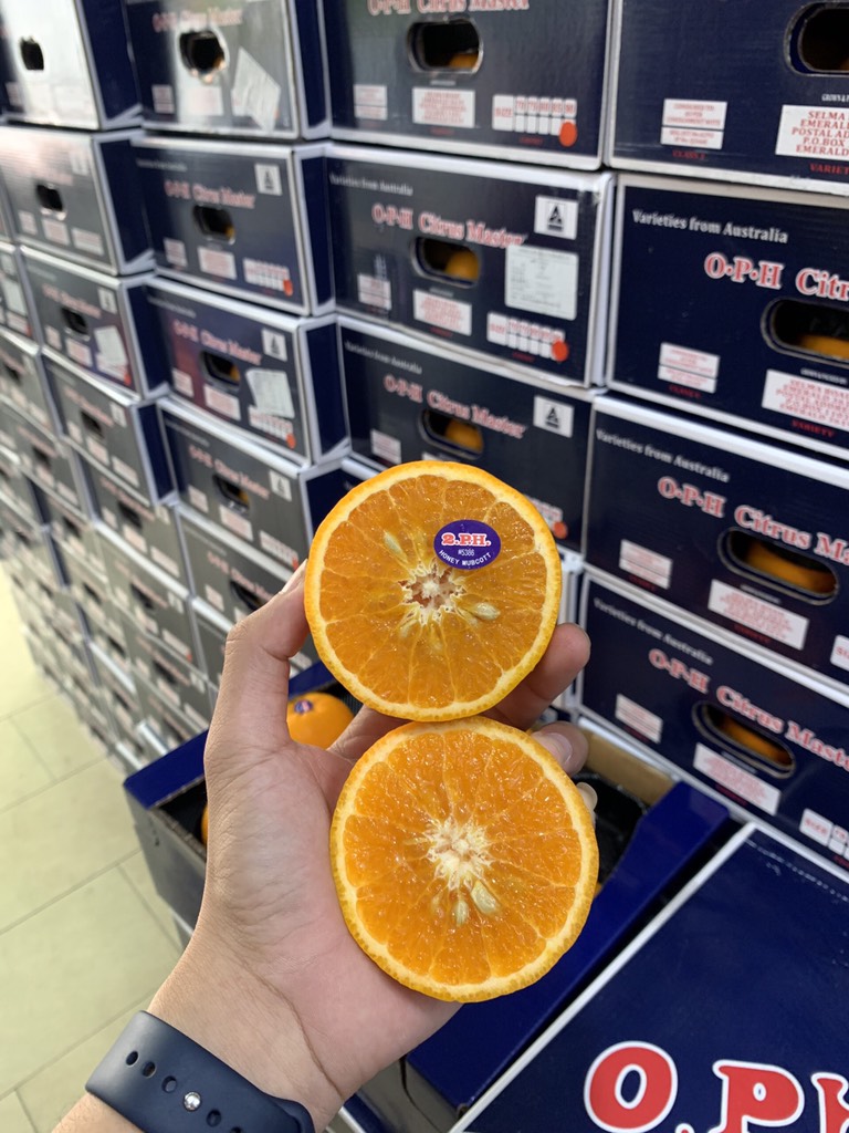 Quýt 2PH VIP size 20