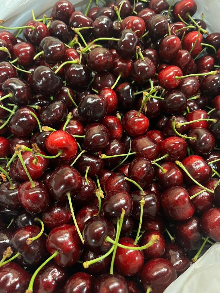 Cherry Mỹ Sequoia (cali)