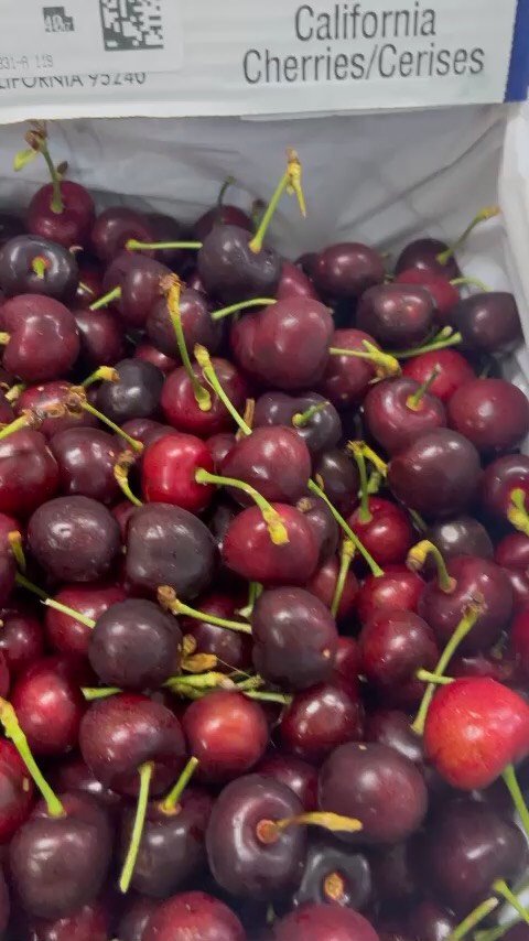 Cherry Mỹ M&R California size 9.5