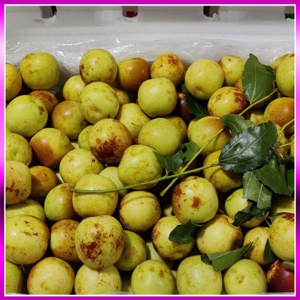 Táo tàu VIP (hồng táo)