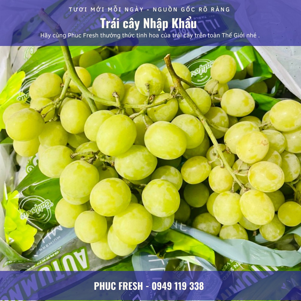 Nho xanh Mỹ Ilume