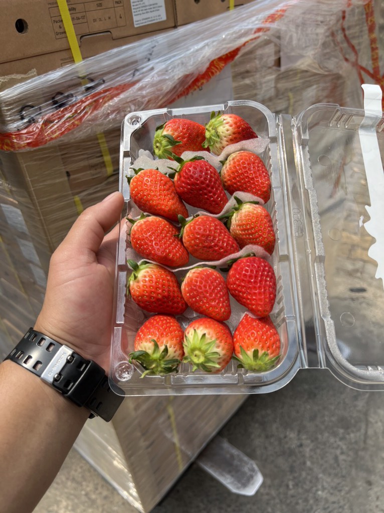 Dâu Hàn tem nơ 330g