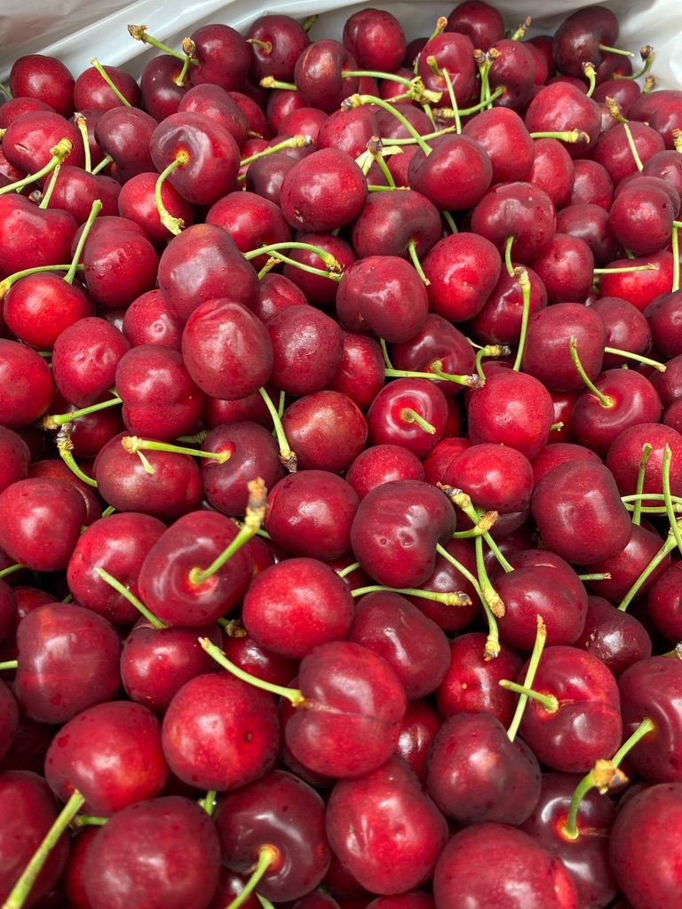 Cherry Mỹ Rivermaid size 10