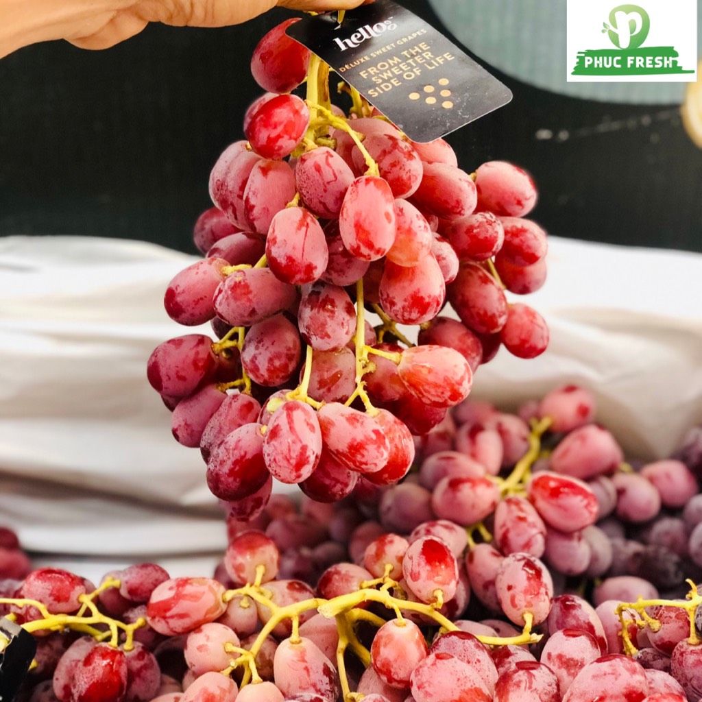 Nho đỏ Úc Hello