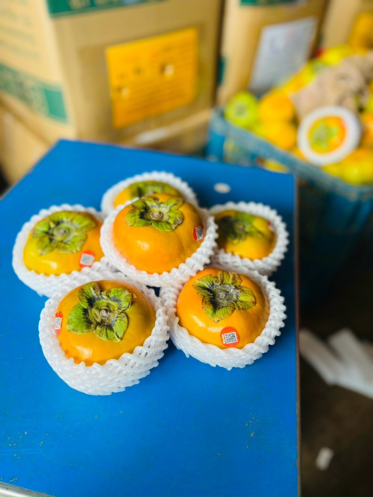 Hồng giòn Fuju (Fuyu/Fuji)