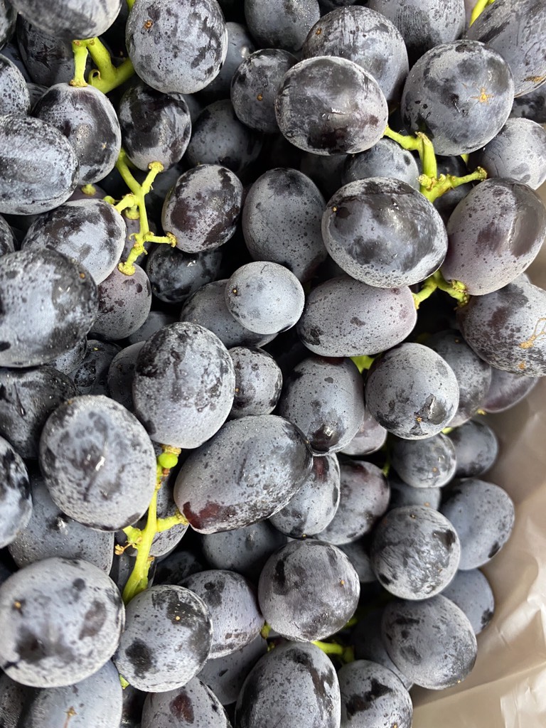 Nho đen Úc Gold Fuji