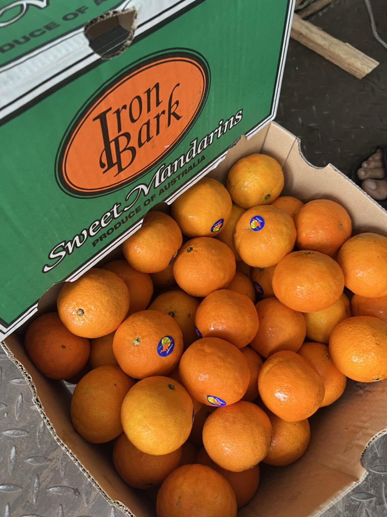 Quýt Úc Iron size 56