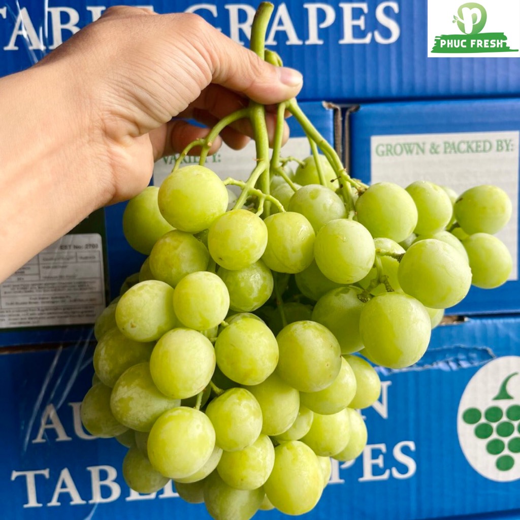 Nho Xanh Úc Autumn Crisp Úc (bay)