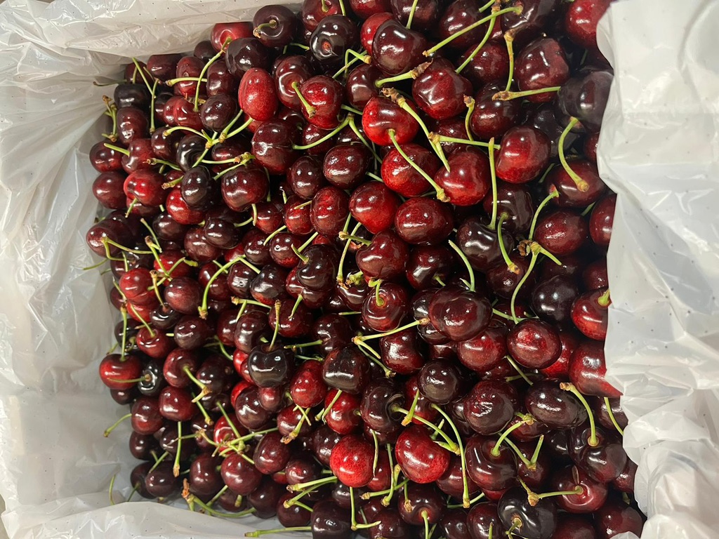 Cherry Mỹ Sequoia (cali)
