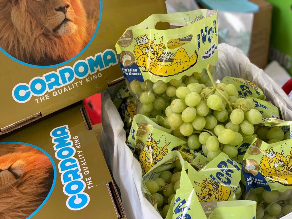 Nho xanh Úc Ivory/ sweet