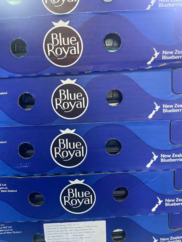 Việt quất Newz 200g