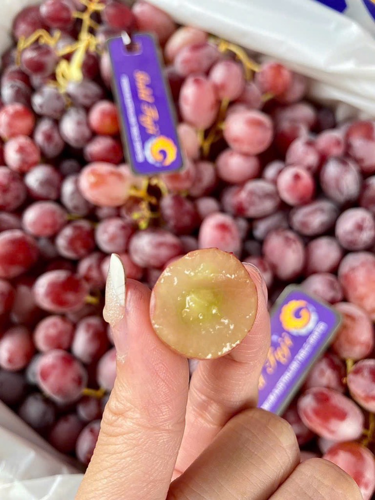 Nho đỏ Long Crimson/Oliver