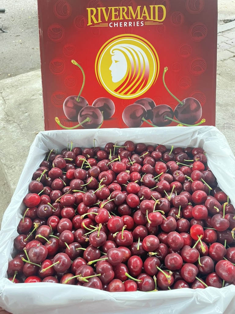 Cherry Mỹ Rivermaid size 10