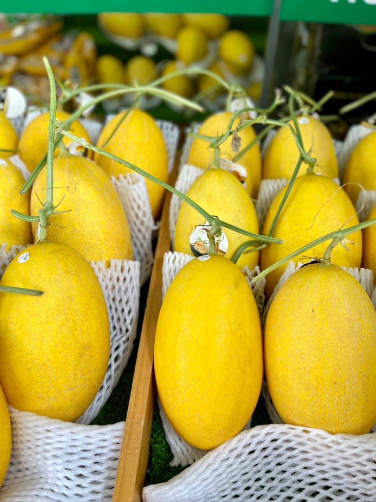 Dưa lưới hoàng kim huỳnh long globalgap (Bình An Farm)